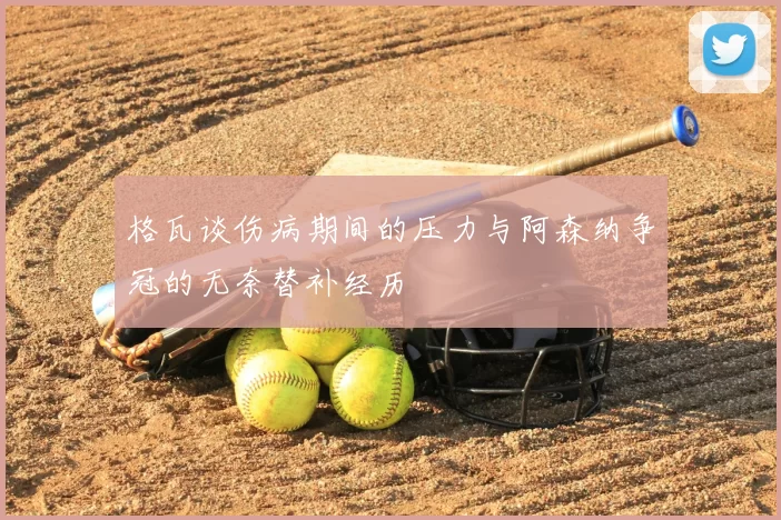 格瓦谈伤病期间的压力与阿森纳争冠的无奈替补经历
