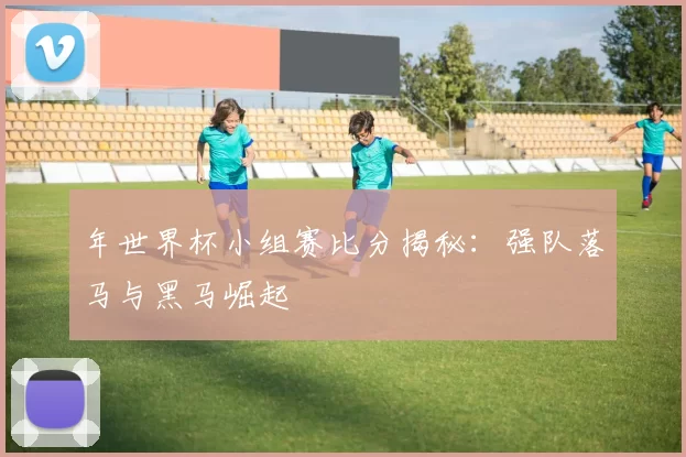 年世界杯小组赛比分揭秘：强队落马与黑马崛起