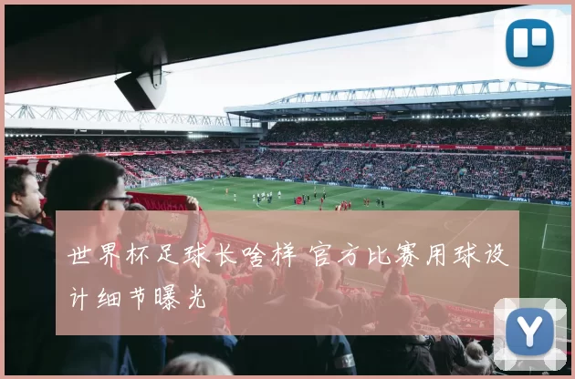 世界杯足球长啥样 官方比赛用球设计细节曝光