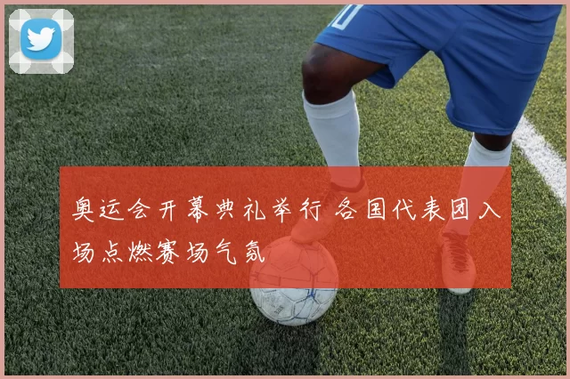 奥运会开幕典礼举行 各国代表团入场点燃赛场气氛