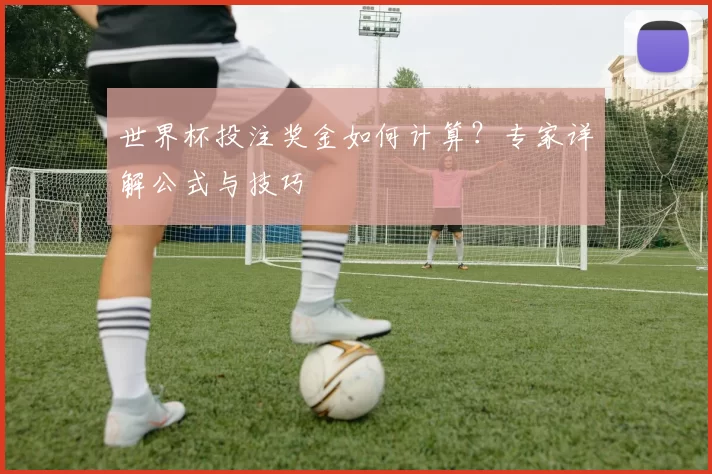 世界杯投注奖金如何计算?专家详解公式与技巧