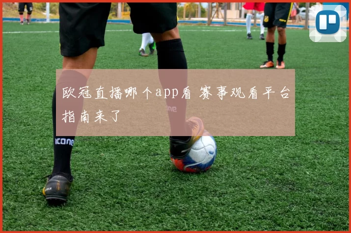 欧冠直播哪个app看 赛事观看平台指南来了