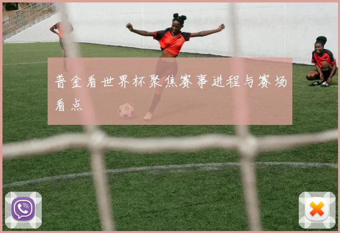 普金看世界杯聚焦赛事进程与赛场看点