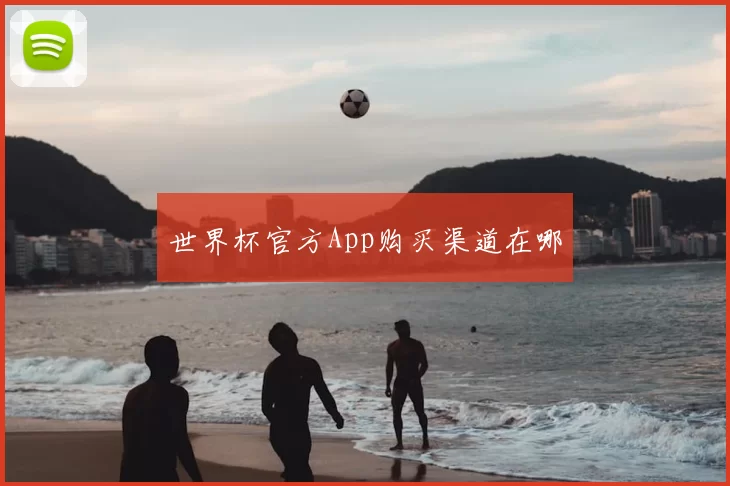 世界杯官方App购买渠道在哪