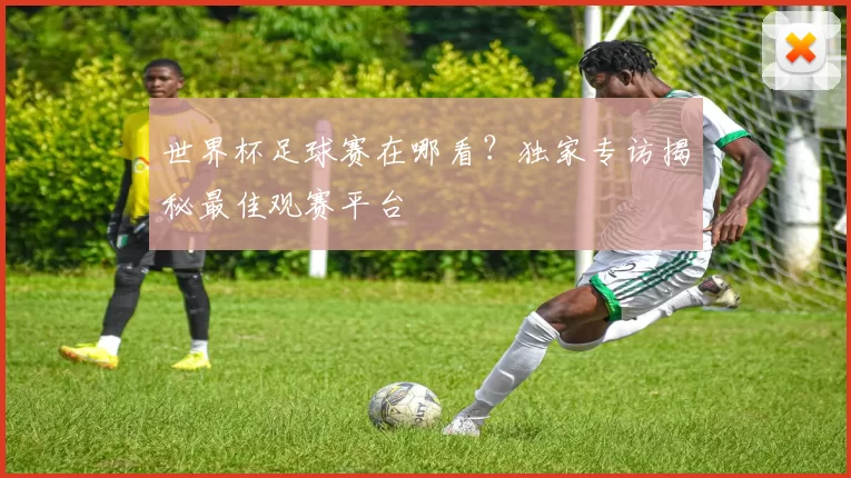 世界杯足球赛在哪看?独家专访揭秘最佳观赛平台