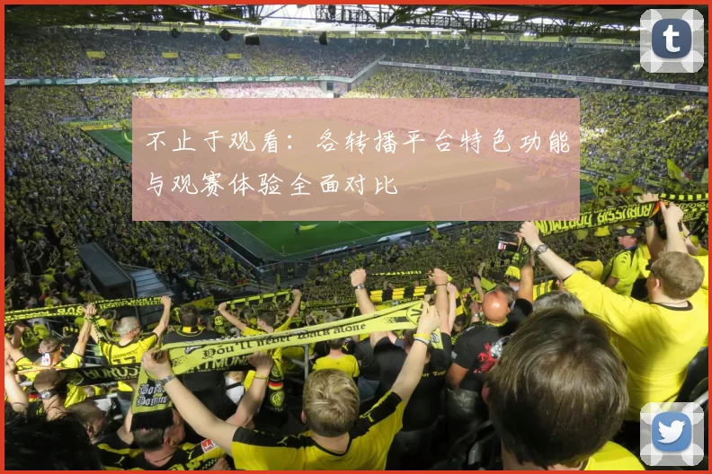 不止于观看：各转播平台特色功能与观赛体验全面对比