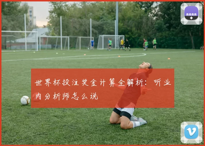 世界杯投注奖金计算全解析：听业内分析师怎么说